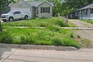 Lawn Service - Before Mowing